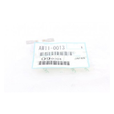 Ricoh AW11-0013 Thermostat