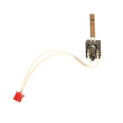 Ricoh AW10-0112 Fuser Thermistor - MP3500 / MP4500