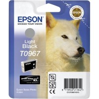 Epson C13T09674020 Açık Siyah Orjinal Kartuş - Photo R2880