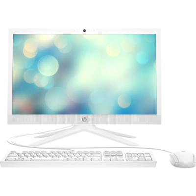 HP 2T0P8E AIO 21 B0038NH Intel Core i3 1005G1 4GB 1TB HDD 20.7" FHD All In One Bilgisayar